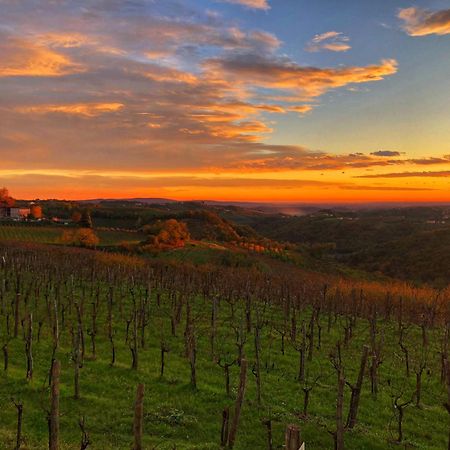 Peterc Vineyard Estate Bed & Breakfast Kojsko Exterior photo