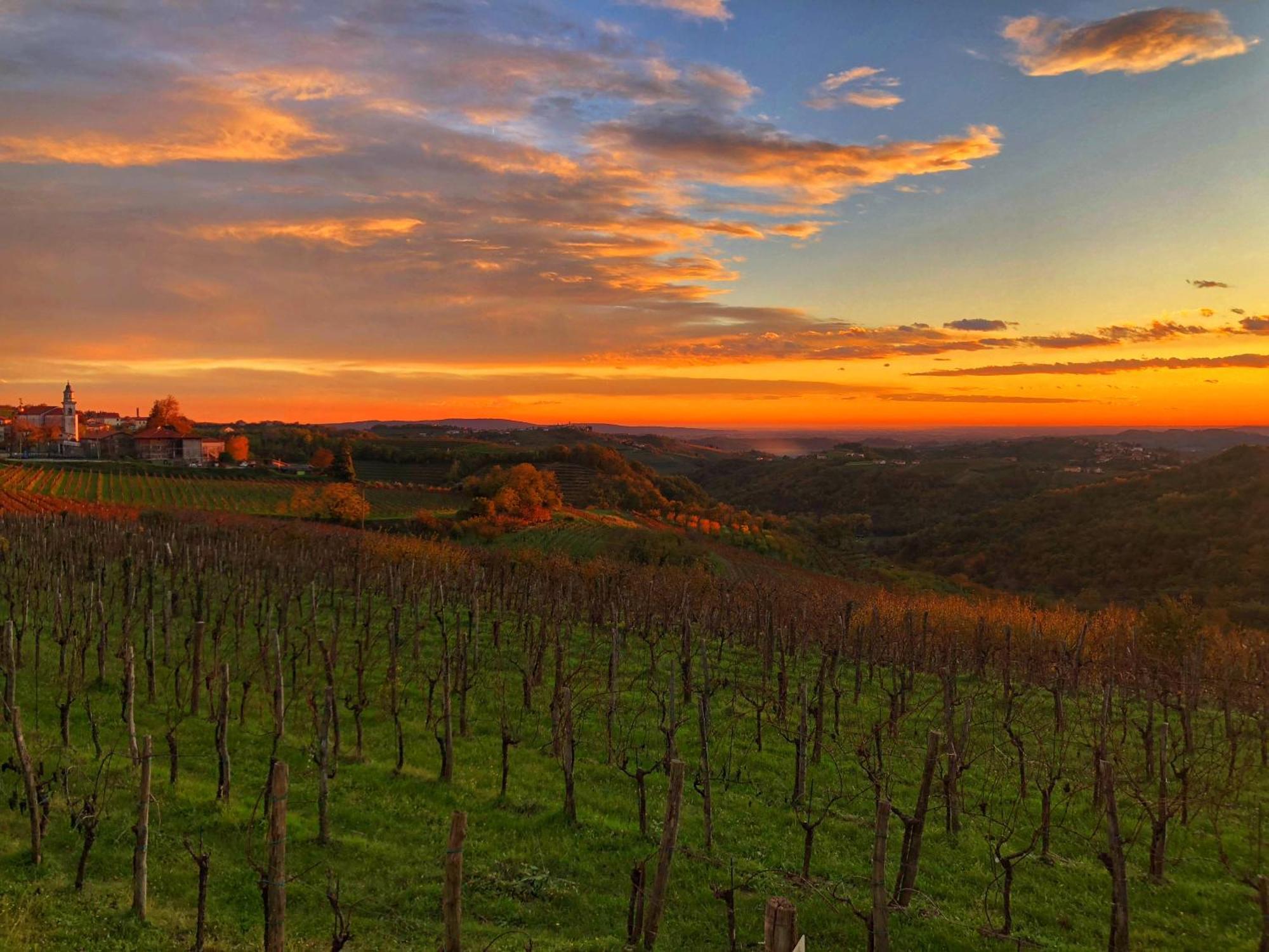 Peterc Vineyard Estate Bed & Breakfast Kojsko Exterior photo