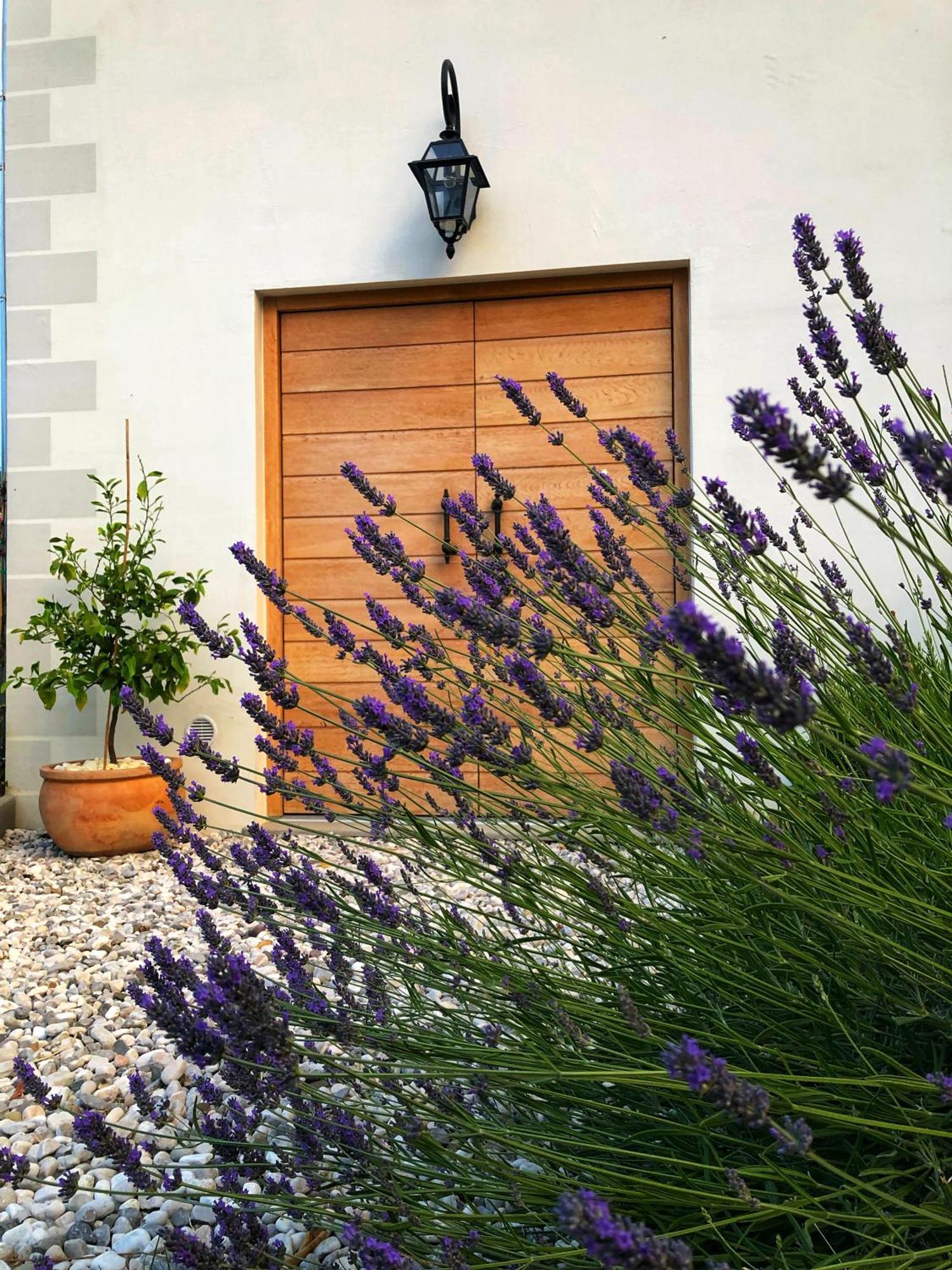 Peterc Vineyard Estate Bed & Breakfast Kojsko Exterior photo