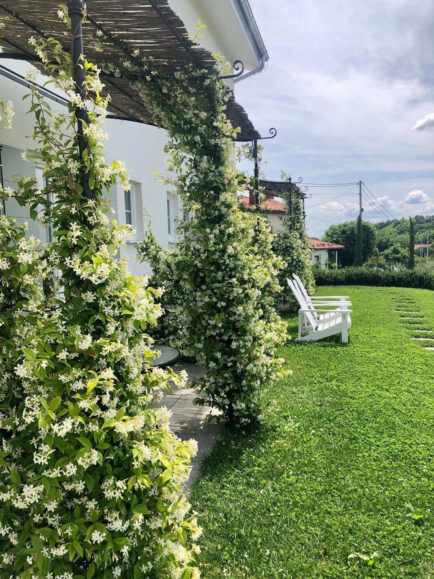Peterc Vineyard Estate Bed & Breakfast Kojsko Exterior photo